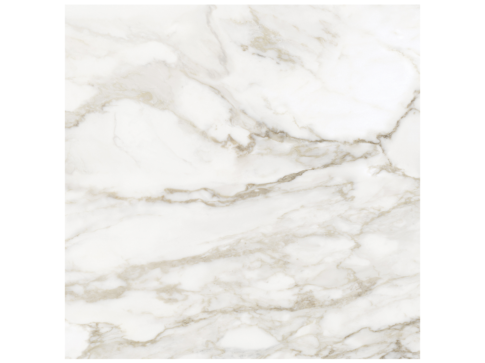 Calacatta Paonazzo Honed Rectified Glazed Porcelain Tile Tile Mart