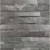 Ledger Stone - Astro Silver