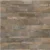 Ledger Stone- Indian Coast