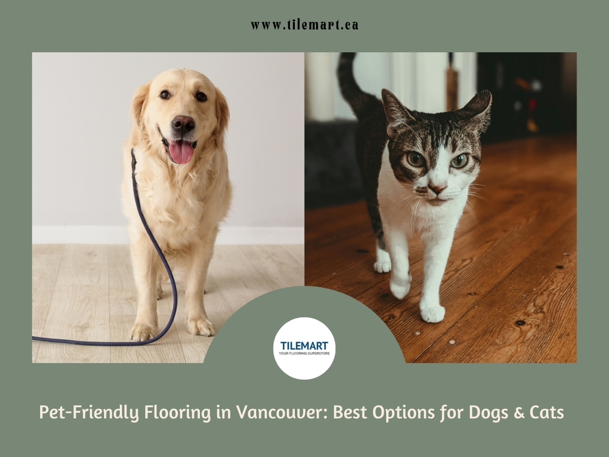 Golden retriever on vinyl flooring and tabby cat on hardwood floor showcasing pet-friendly flooring in Vancouver.